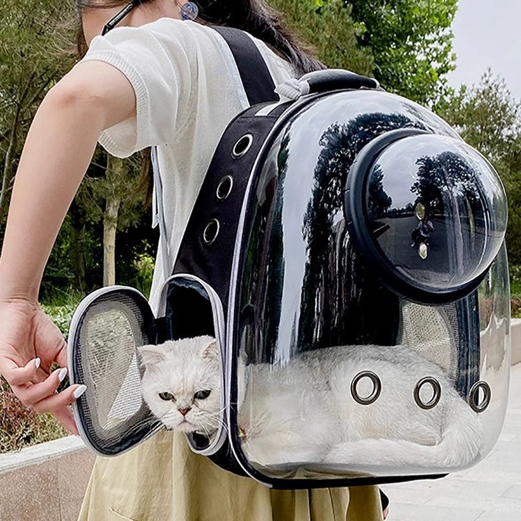 Space capsule gray penguin