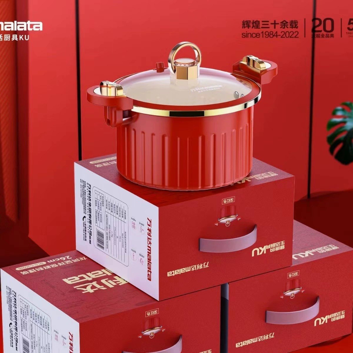 New Gold-Rimmed Roman Pot Pressure Cooker Multifunctional Non-Stick Micro-Pressure Cooking Pot Double-Handle Pot Gift 